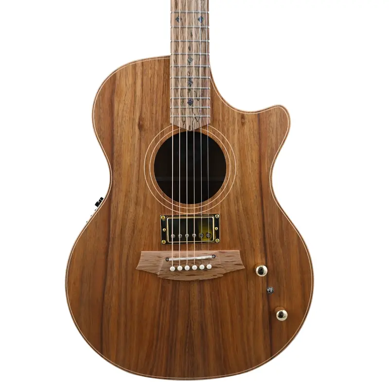 Cole Clark An2Ec-Blbl All-Blackwood Acoustic-Electric Guitar With Humbucker Pickup 1