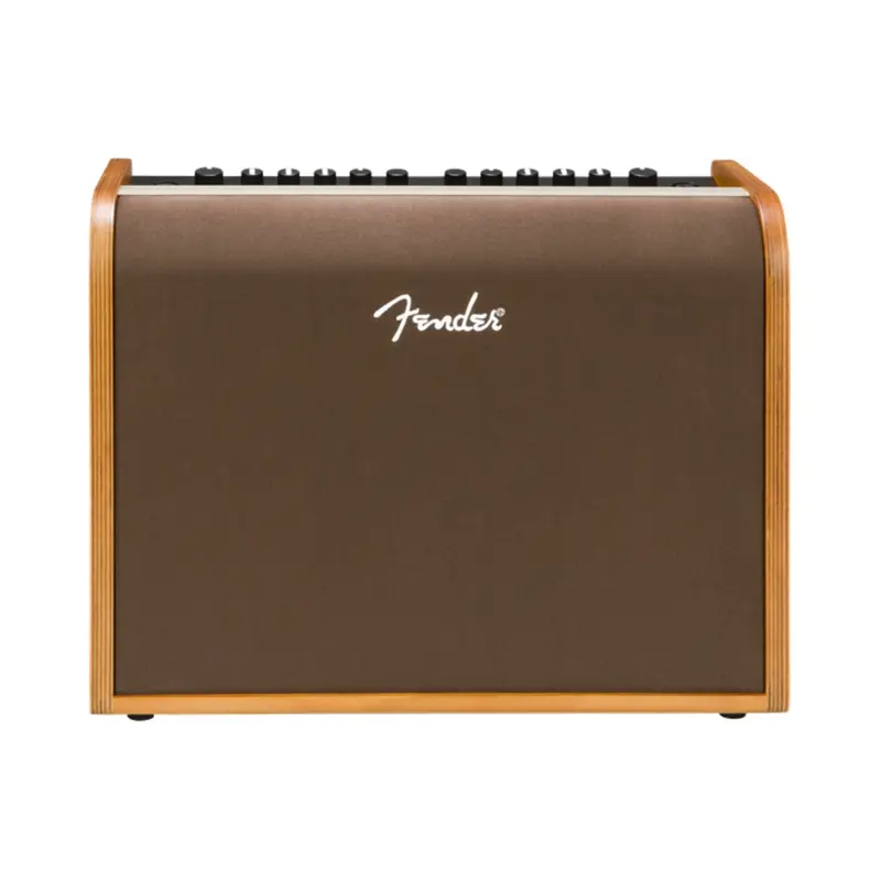 Fender Acoustic 100W Portable Acoustic Guitar Amplifier 1