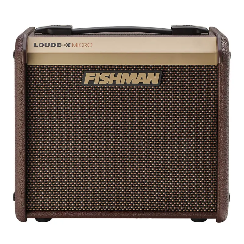 Fishman Loudbox Micro Acoustic Amplifier 1