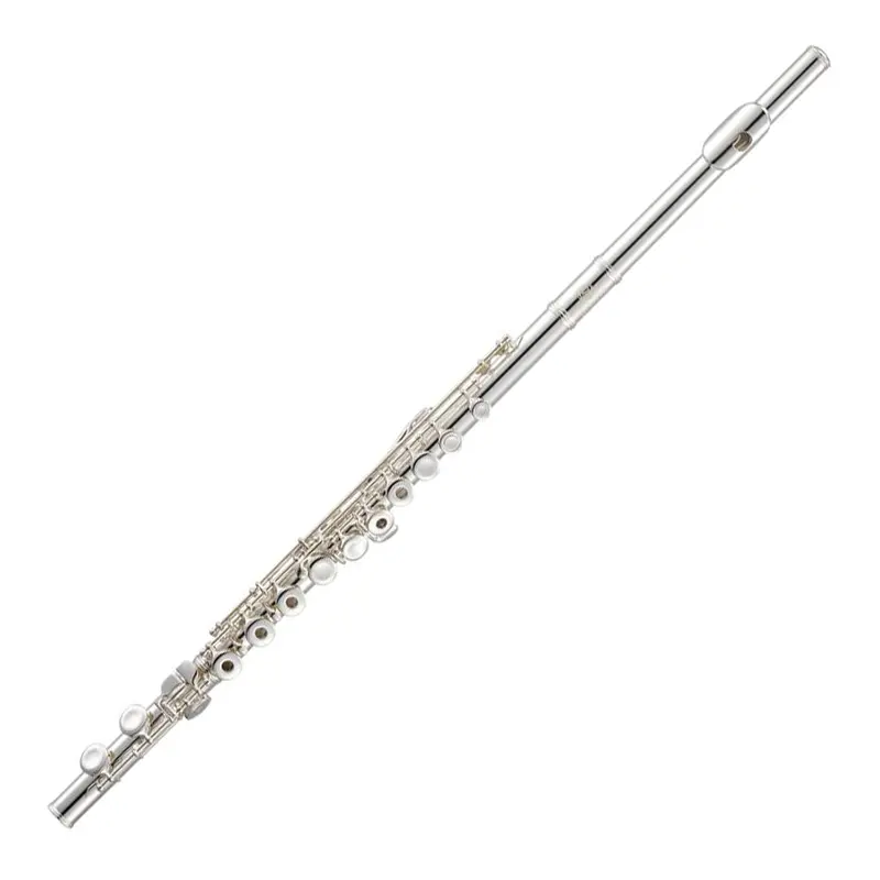 Jupiter Jfl1000Rbe Concert Flute – 1000 Series With Split E Mechanism And B Foot 1