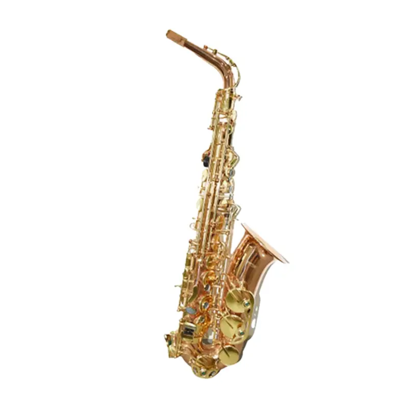 Knight Sas1010L Alto Saxophone – Eb Key, No Case Included 1