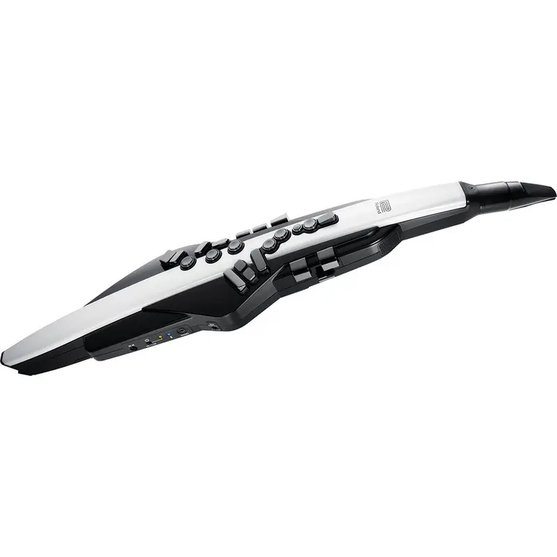 Roland Ae-20 Aerophone Express – Portable Digital Wind Instrument 1