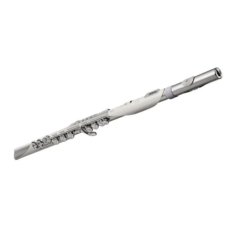 Roland Aerophone Brisa Digital Wind Instrument For Expressive Electronic Performance 1