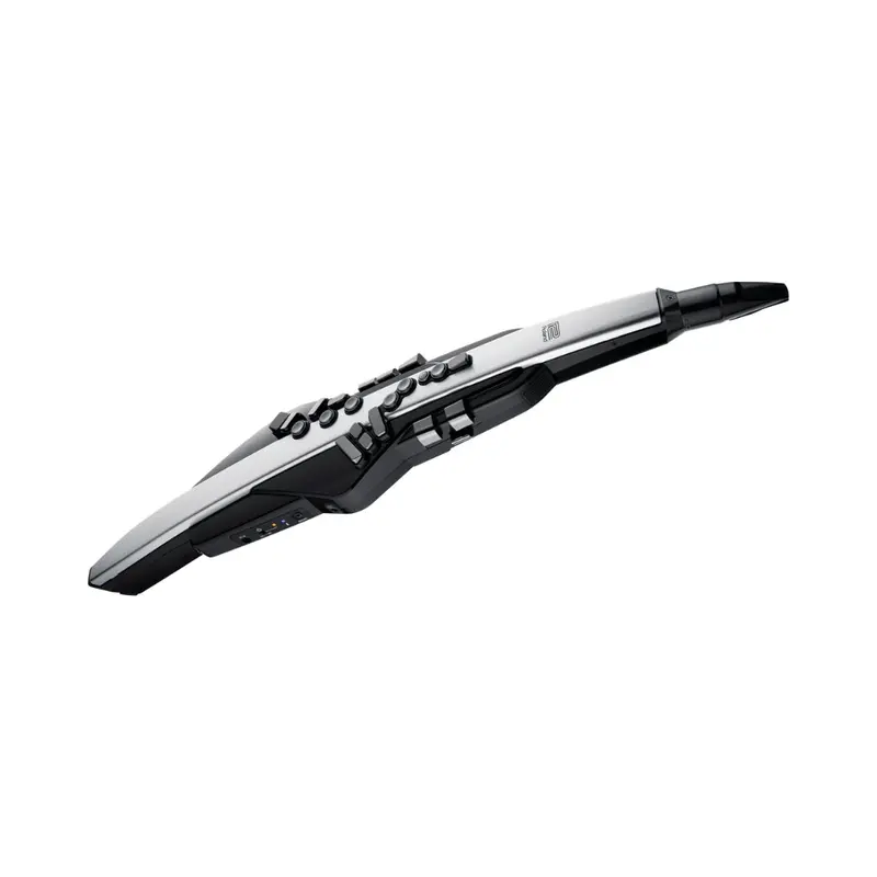 Roland Aerophone Pro Ae-30 – Professional Digital Wind Instrument (Silver) 1